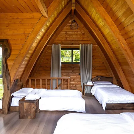 Altus Highland * Tepelene